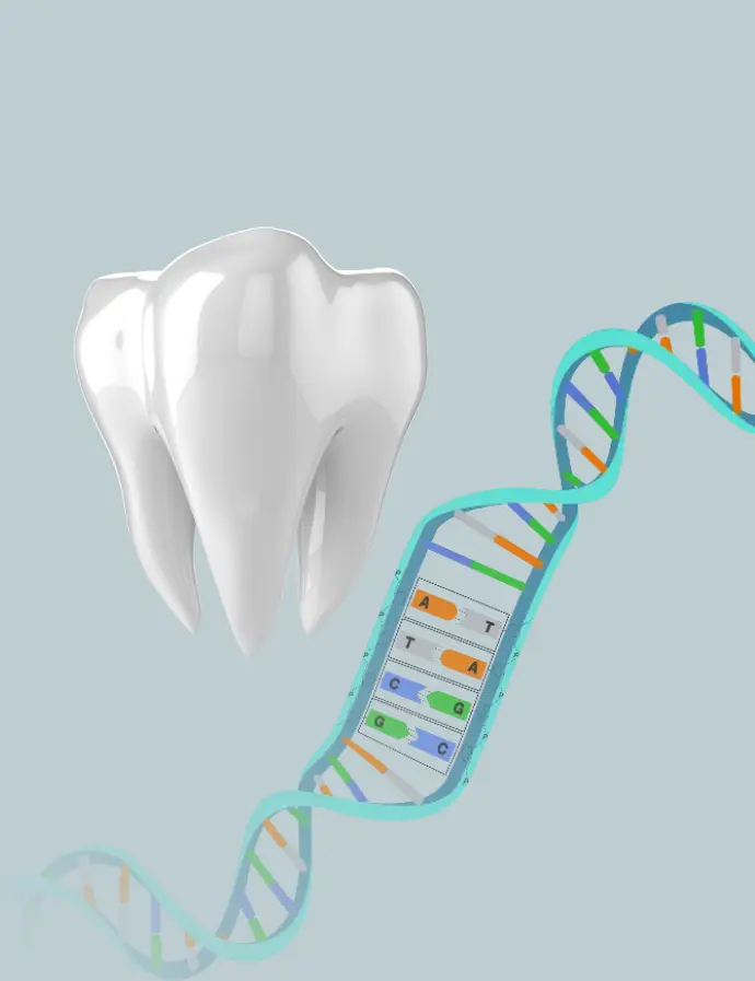 Dr. Zraiqat is collaborating with Dental DNA to conduct tests that detects and evaluate microbial DNA in root canals.